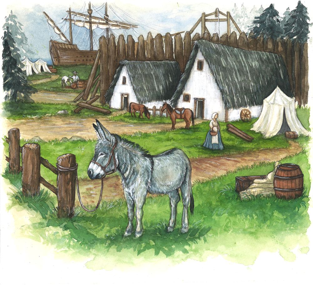 The Donkeys of Colonial Jamestown, Virginia