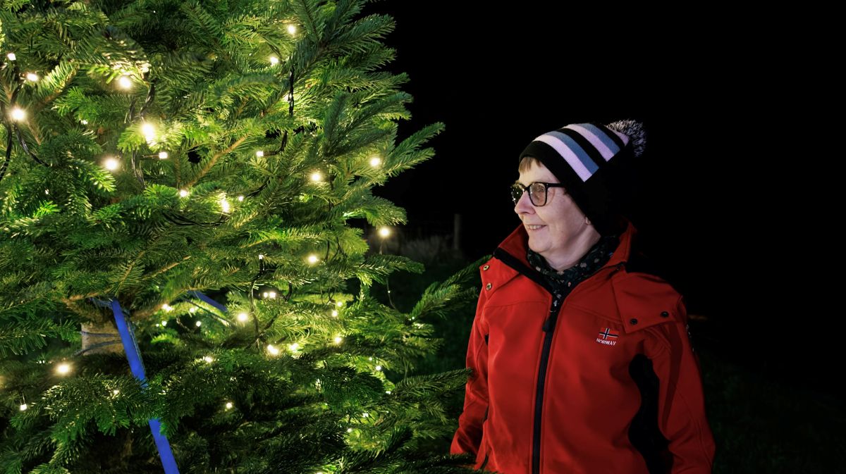 Linda Bonnar looking a the lit up Christmas Tree