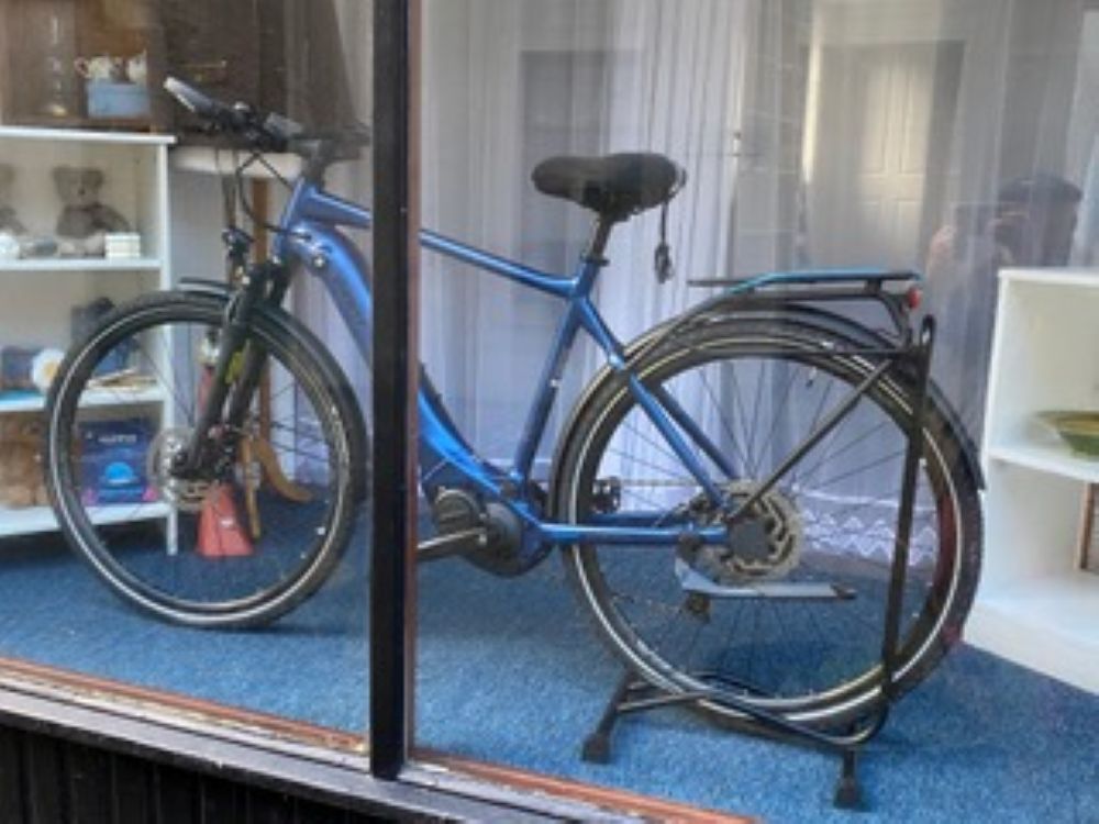 John Rae Society  Silent Auction for Electric Bike