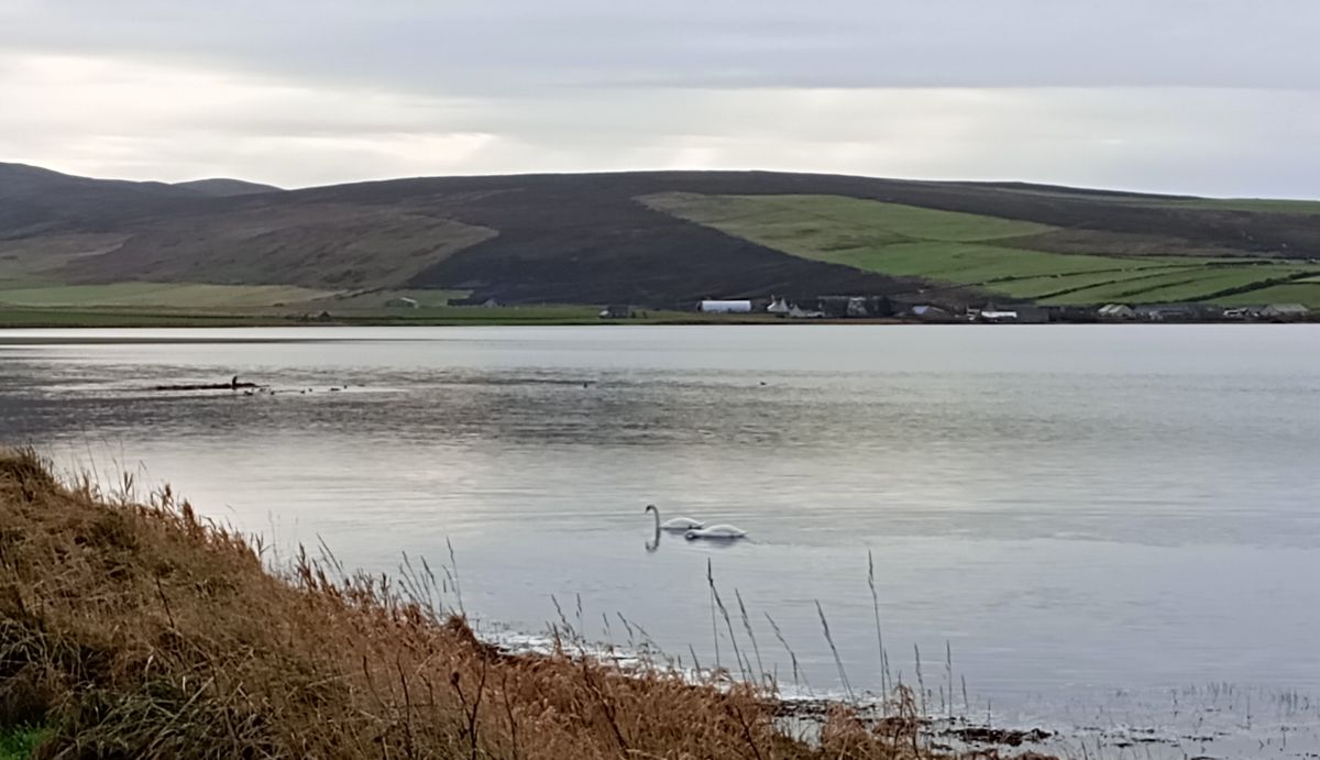 Weather Forecast 10 November : Outbreaks of rain, some heavy, then drier later. Becoming windy.