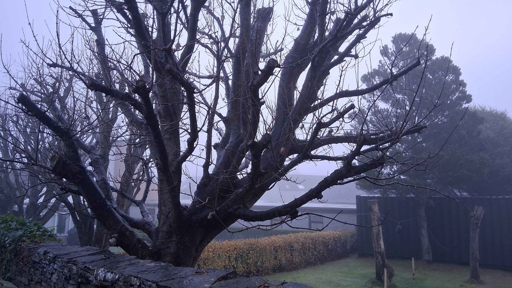 Weather Forecast 8 November : A dull day Saturday with mist and fog patches.