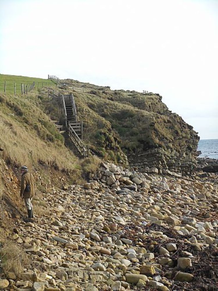 Deerness Doings