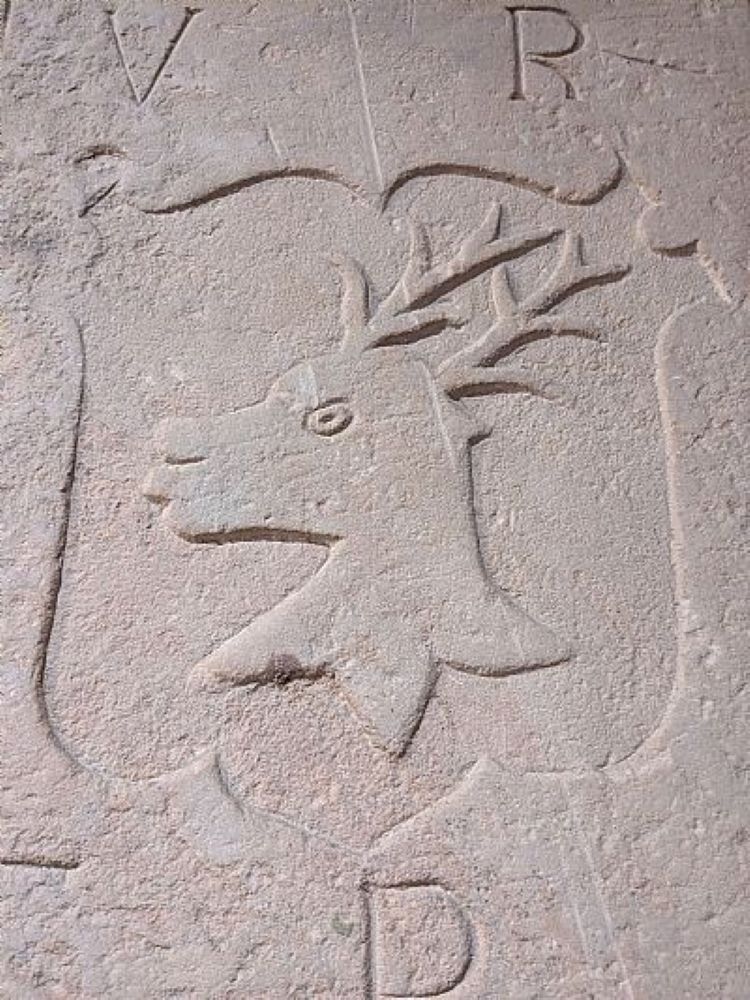 The Flora & Fauna Of St. Magnus Cathedral