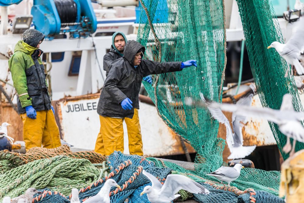 migrant fishermen working a Peterhead boat getting in the nets