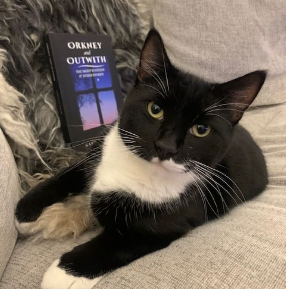 A black cat looks at the camera with a copy of the book beside her