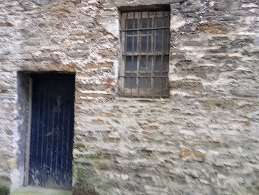 Weather Forecast 25 January : Cloudy with showers today.