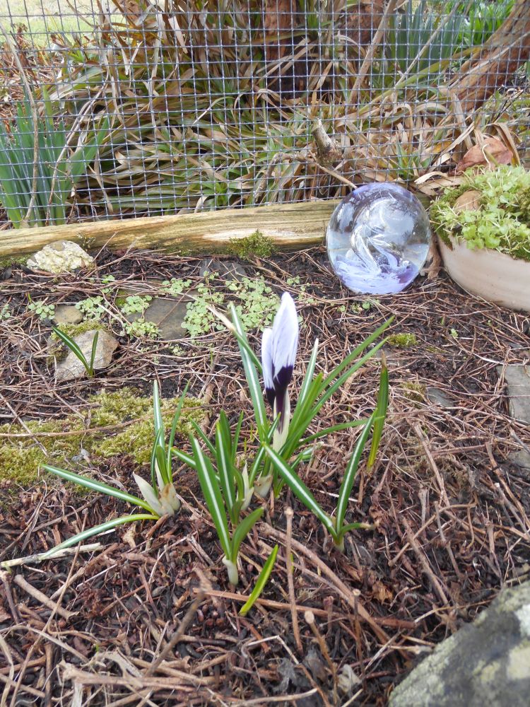 A Poem for the Time of Year