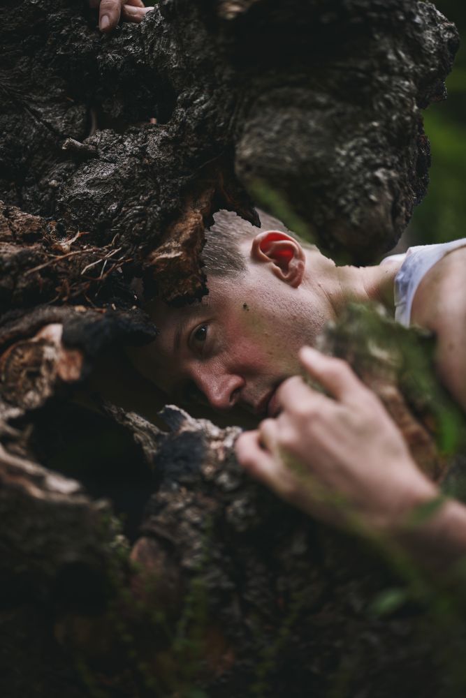 The Bacchae : “a hymn of rebirth for our shattered selves”