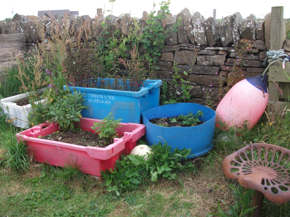 Colourful Containers
