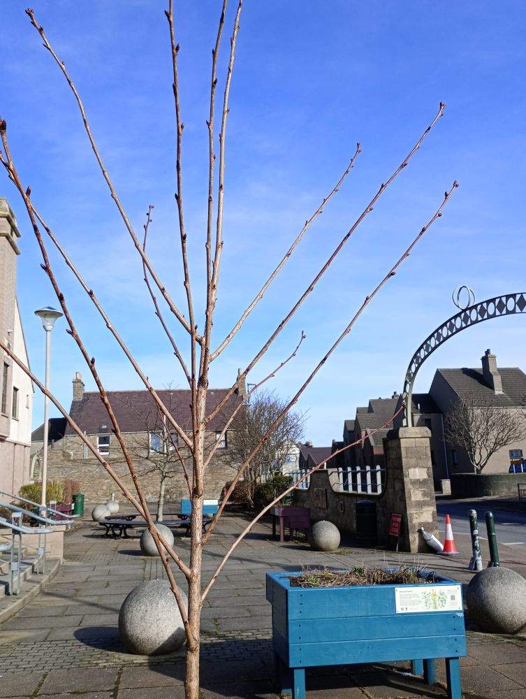 Weather Forecast 9 March : Mainly dry and cloudy on Monday