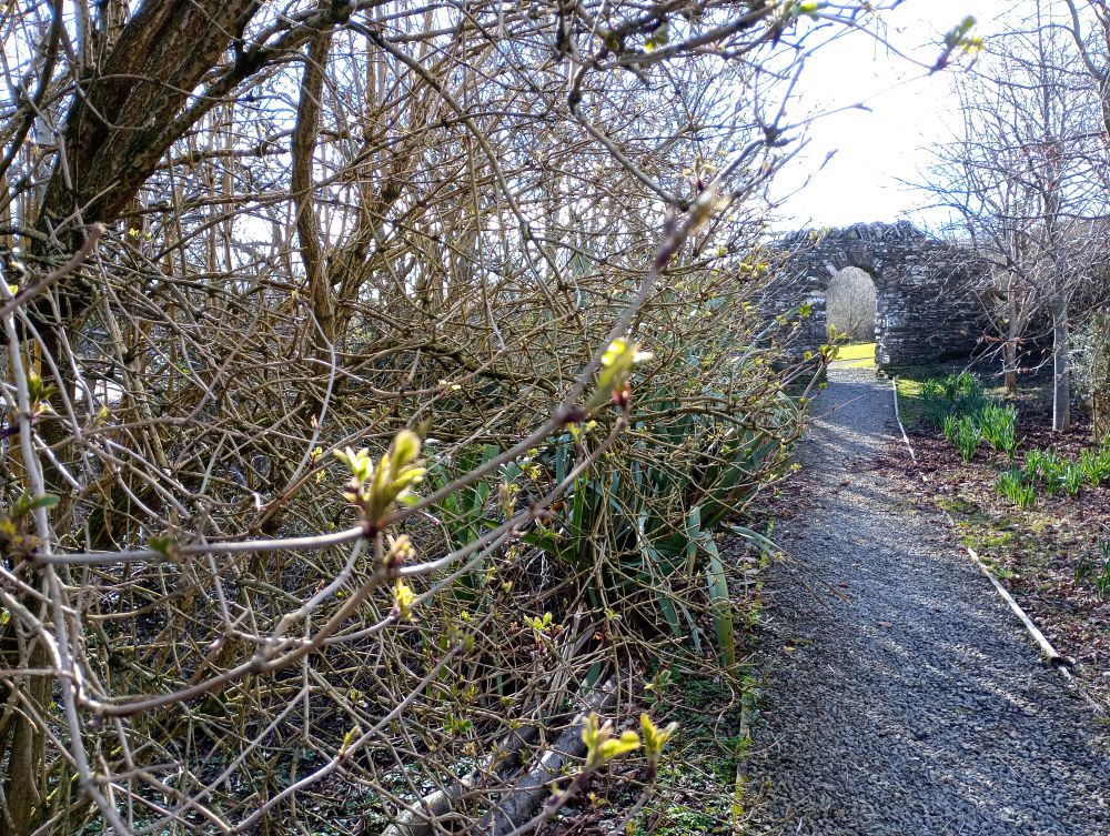 Signs of Spring : Firth Park, Finstown.