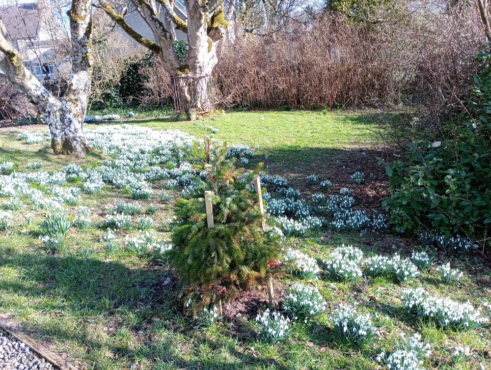 Weather Forecast 11 March : Windy with bright spells and showers today