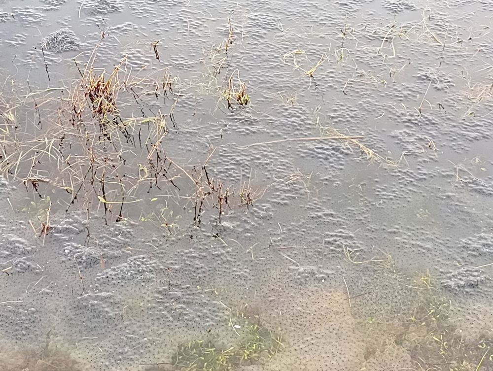 Signs of Spring : Happy Valley