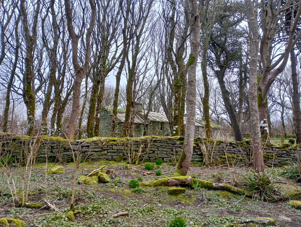 Weather Forecast 23 March : Scattered showers Monday morning with rain later. Windy