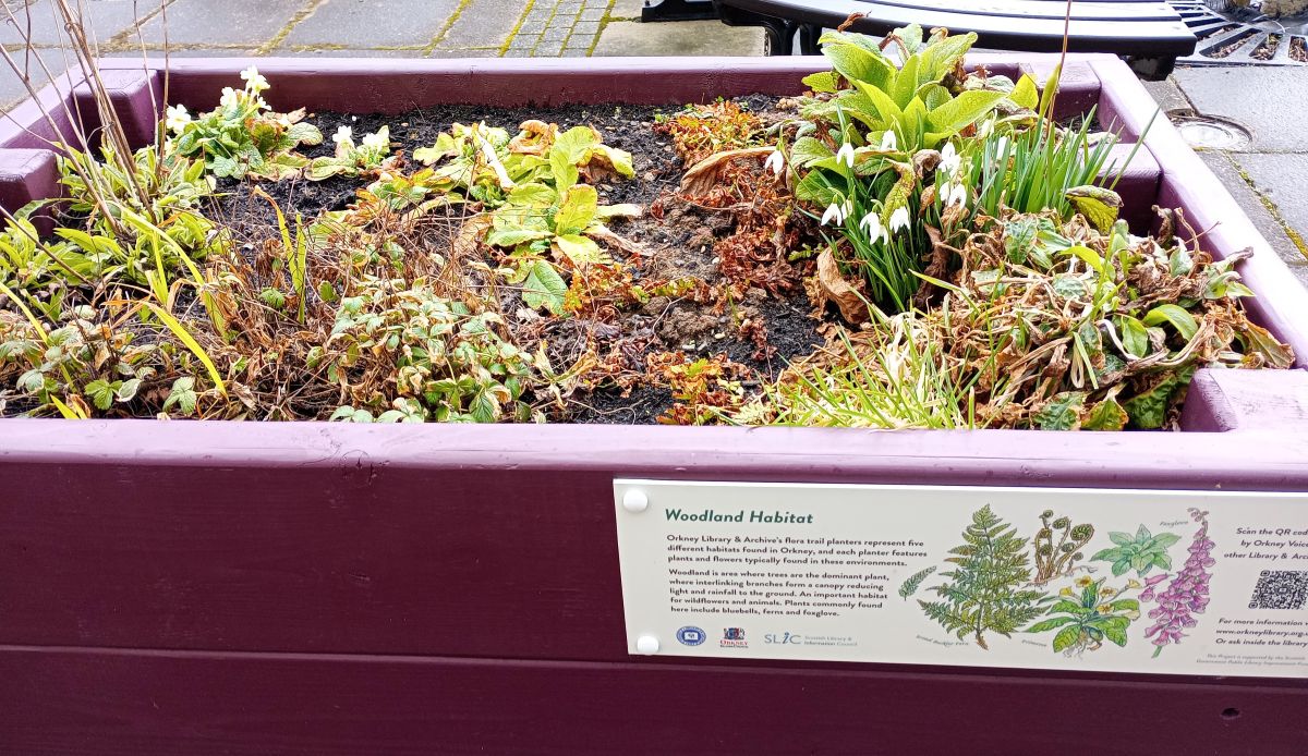 Weather Forecast 15 March : Rain this morning followed by showers. Windy.