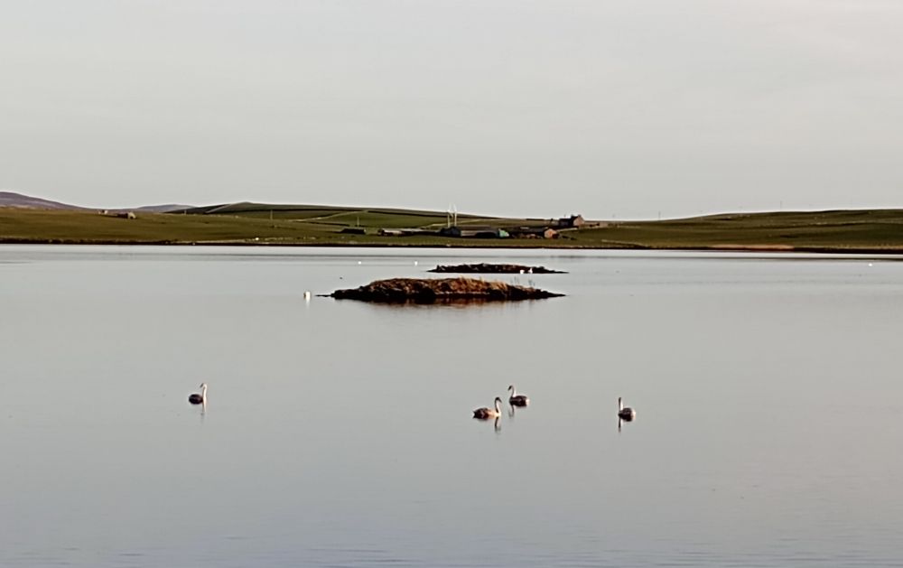 Weather Forecast 20 March : Generally dry and bright.