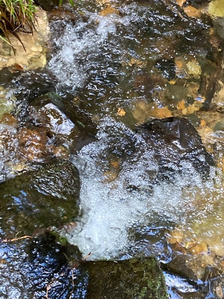 Swirls and Reflections