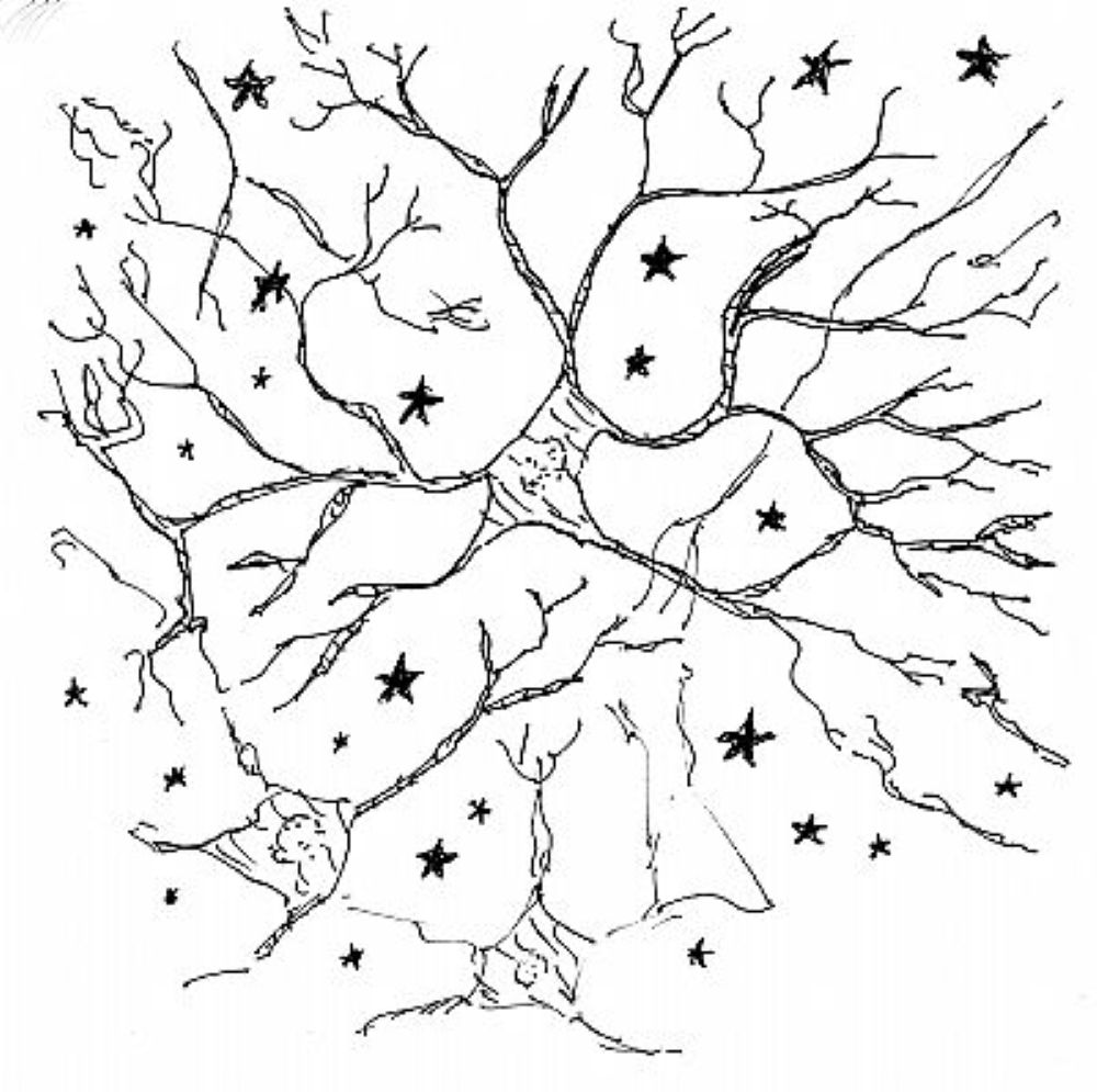 Poetry Corner : The Story Teller