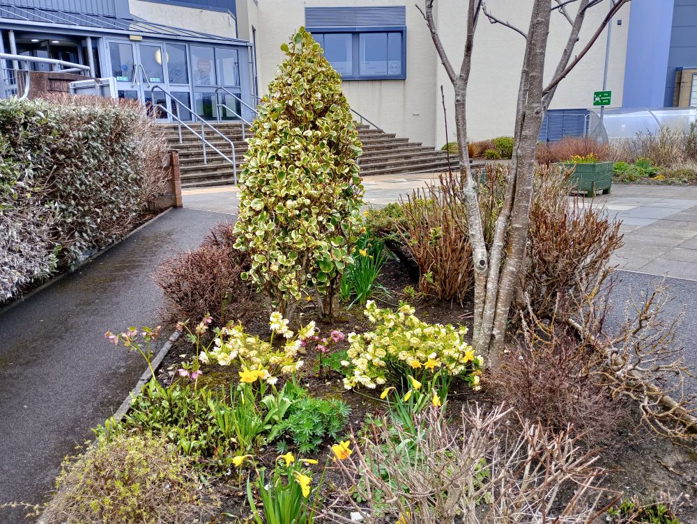 Weather Forecast 2 April : Dry on Thursday with bright or sunny spells.