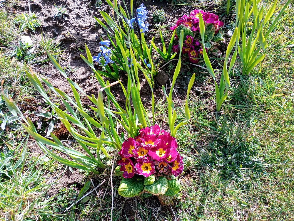 Weather Forecast 9 April : Rain today, Orkney turning drier by afternoon.