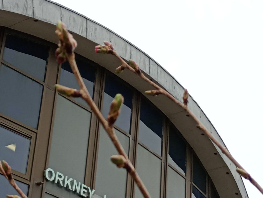 Weather Forecast 10 April: Sunny spells Friday then strong winds and rain overnight.