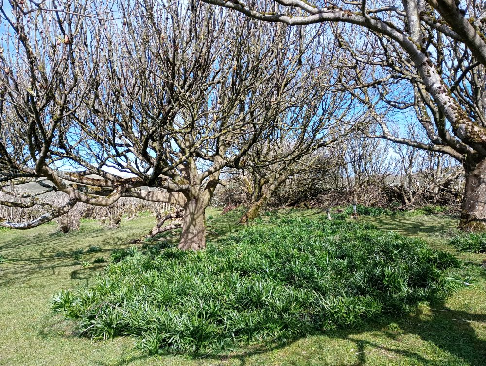 Weather Forecast 13 April : Dry, sunny spells becoming cloudy, scattered showers Orkney later.