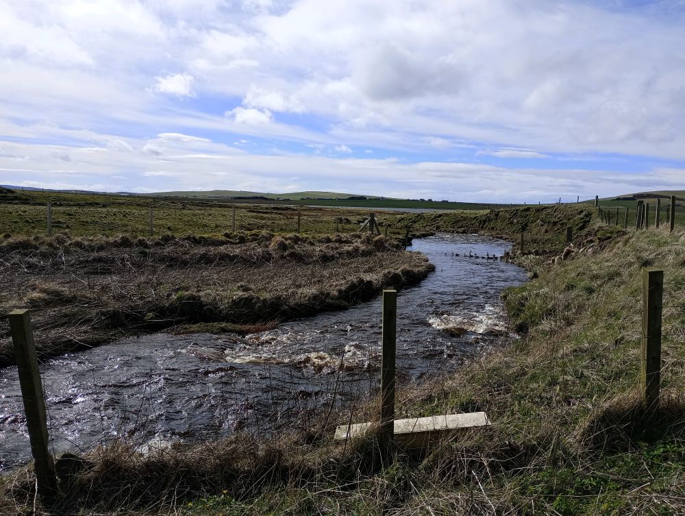 Weather Forecast 15 April : Cloudy and windy with rain at times.