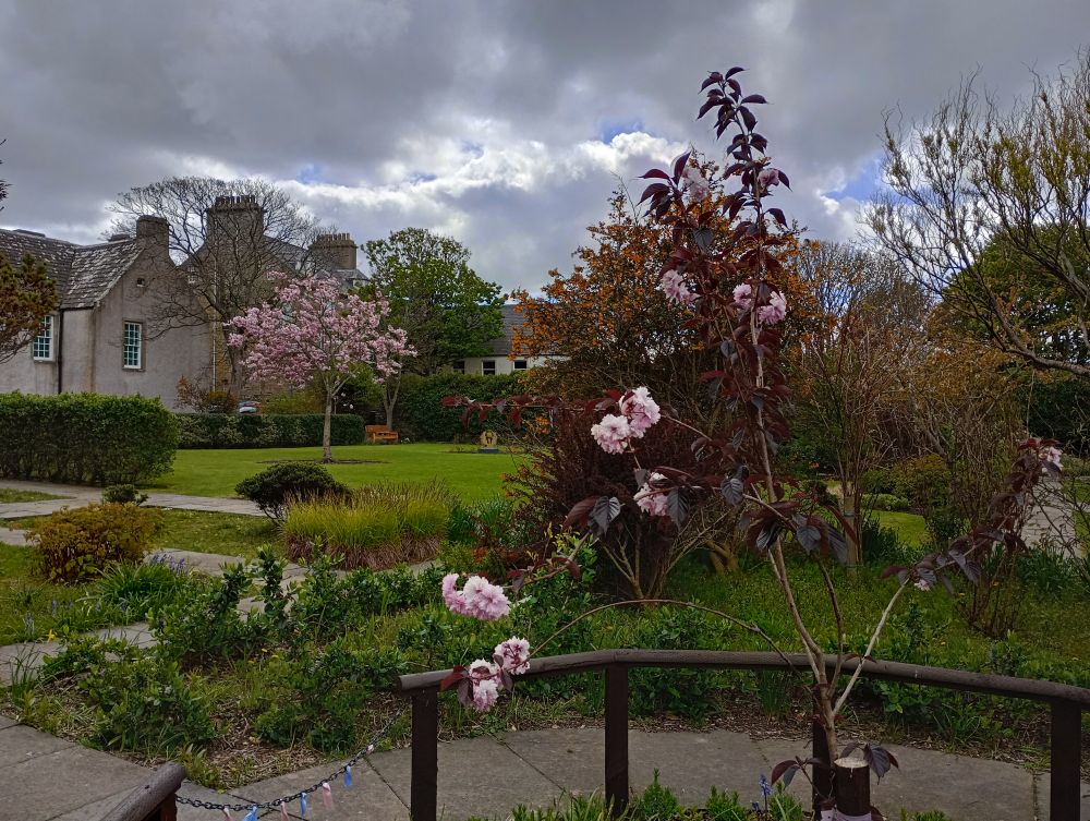 Weather Forecast 10 May : Rain this afternoon. Windy for a time later.