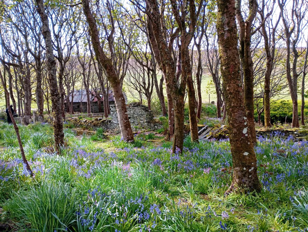 Weather Forecast 23 May: Mainly dry and bright today. Breezy.