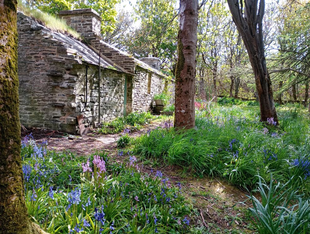 Weather Forecast 16 May : Bright spells for Orkney