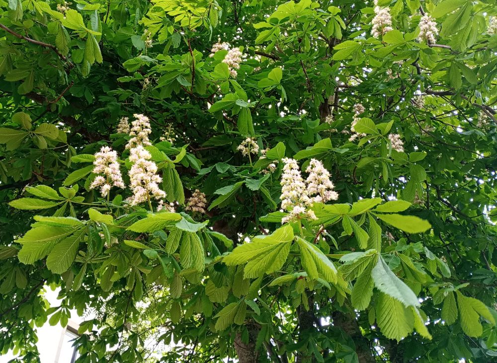 Weather Forecast 27 May : Dry with sunny intervals today.