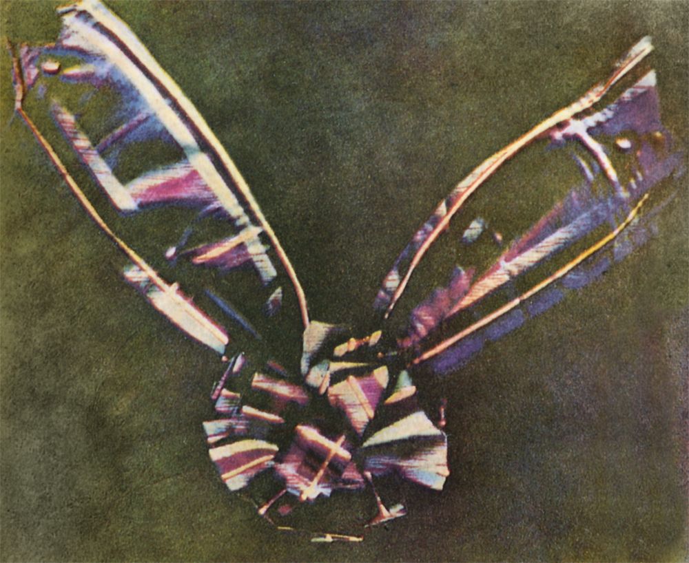 the tartan ribbon as photographed in colour