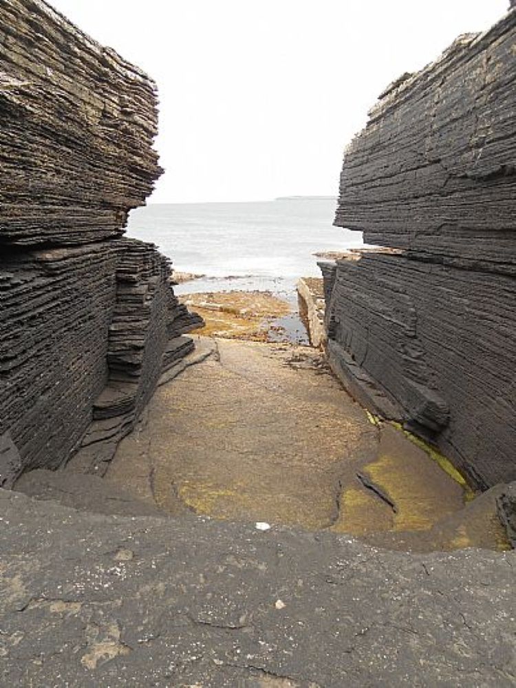 All Sorts At Rerwick Head