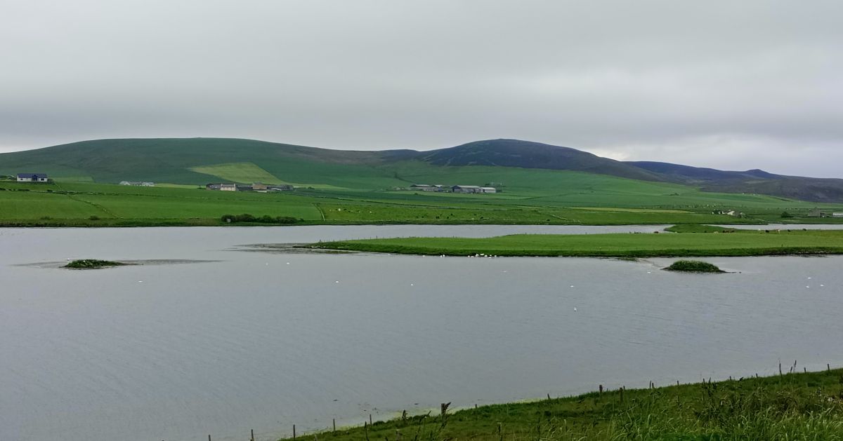 Weather Forecast 7 June: Rain, cloud clearing in morning. Then bright spells, some showers.