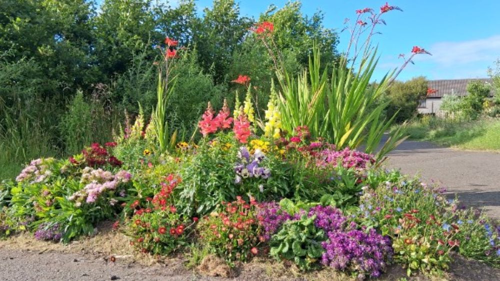 July in Arcadia Park, Kirkwall