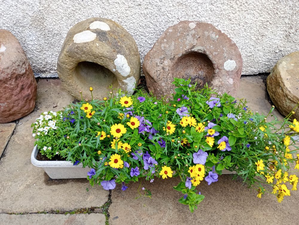 Weather Forecast 5 July : Dry with sunny spells Sunday morning, cloudier with rain later.