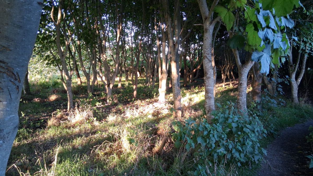 Weather Forecast 27 August: Dry, Bright and Breezy.