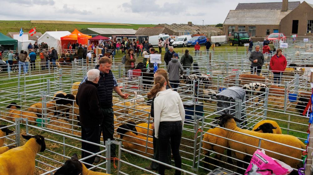 East Mainland Show in Pictures