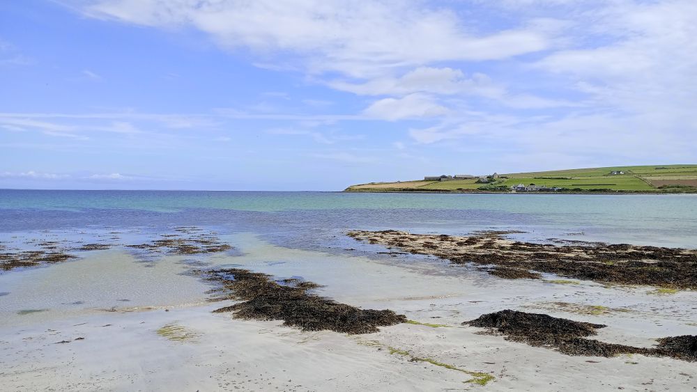 beach with silvery sand