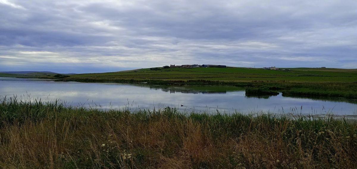 Weather Forecast 17 August : Largely dry during daytime with light winds.