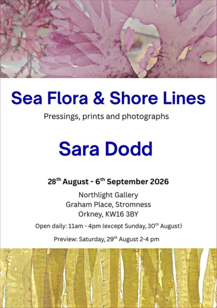 Sea Flora & Shore Lines: Exhibition by Sara Dodd
