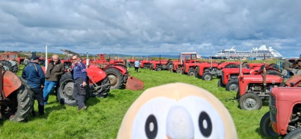 WATCH: Rowlet at the Orkney Classic Motor Show
