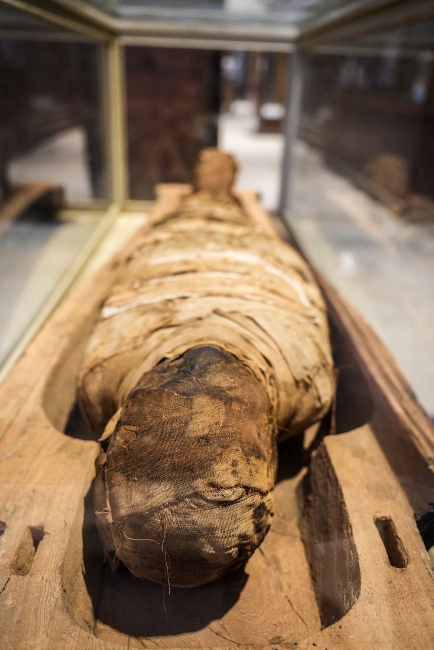 Trade in Mummified Remains Poses Health and Biosecurity Risks. 