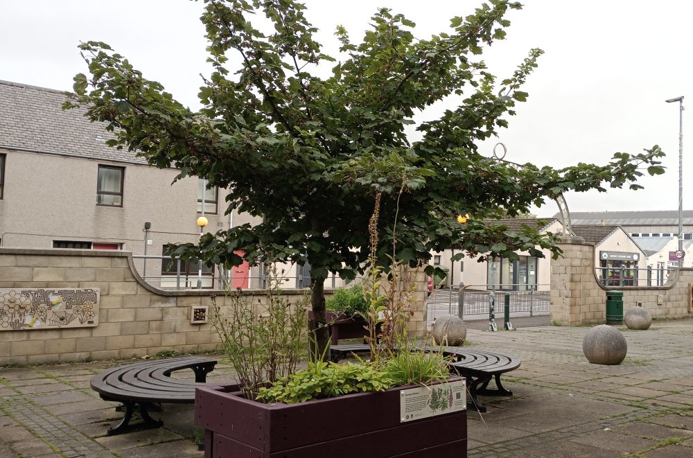 Weather Forecast 1 September: Rain this morning, mainly dry and bright this afternoon.