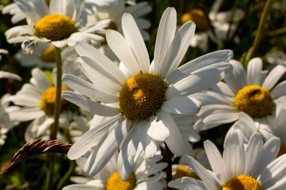 And the Winners are – Orkney Nature Festival Photography Competition 2026