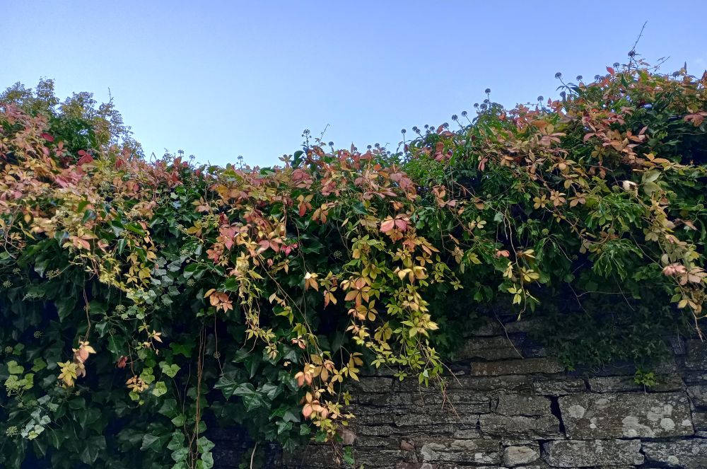 Weather Forecast 17 October : Sunny spells and a few light showers