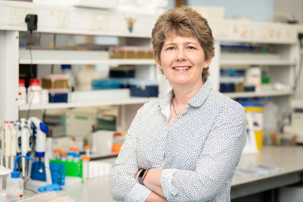 Researching Male Breast Cancer