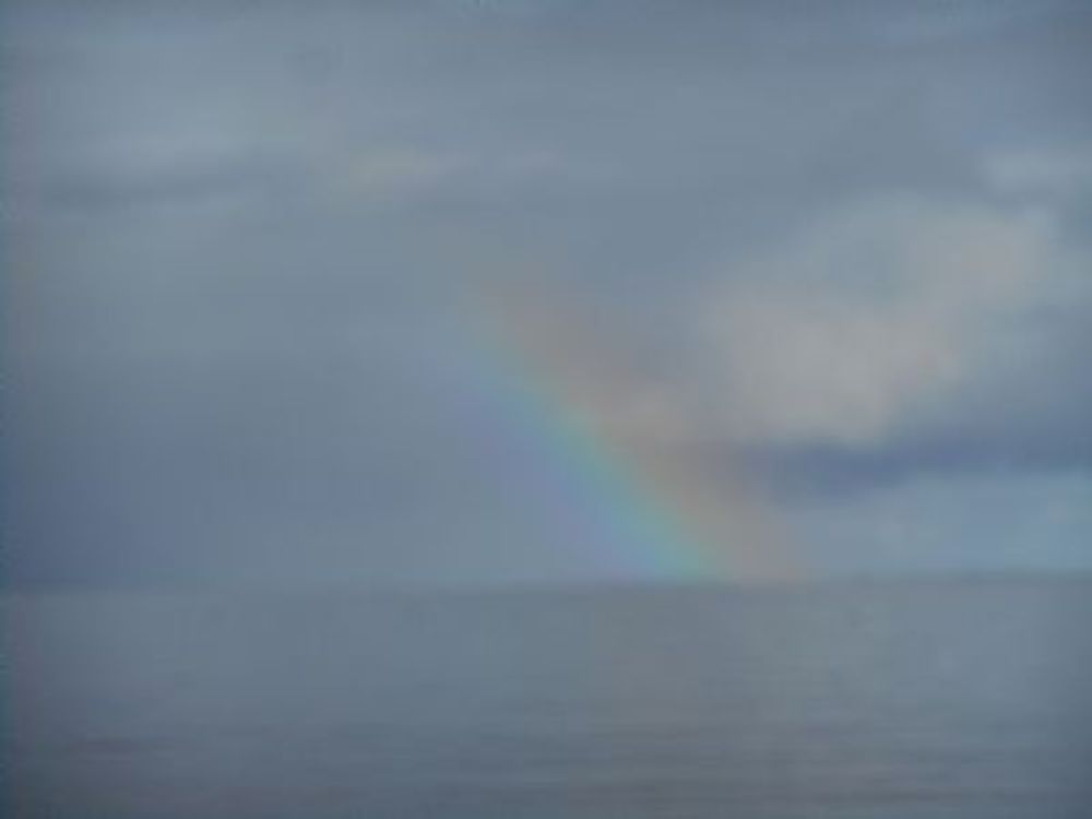 On The Shore At Halley