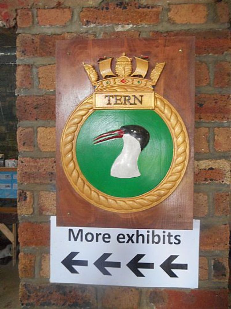 HMS Tern: Part One
